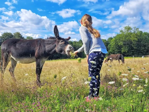 Camping Freizeitpark Schüttehof, Tyskland