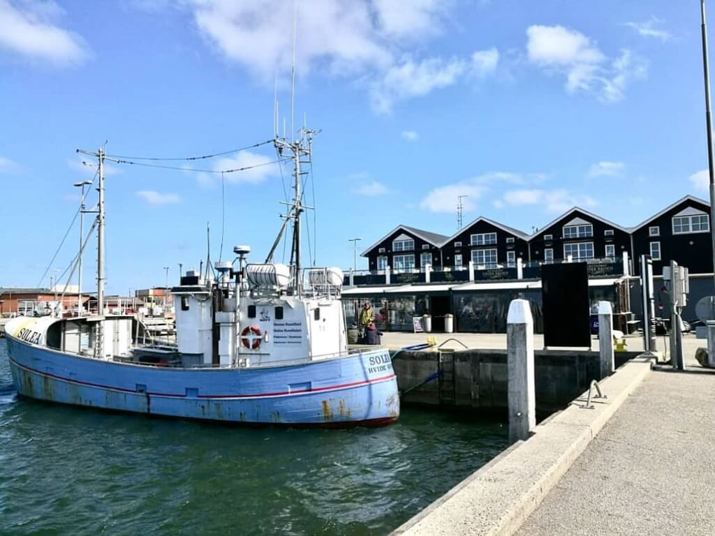 Hvide Sande Camping, Danmark